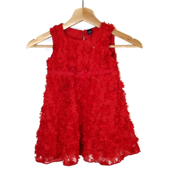 GAP Other - Gap Rose Dress